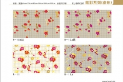 张家口炫彩-图册10